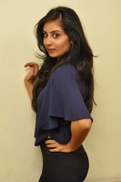 Bhanu Sri Mehra Gallery